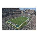 Philadelphia Eagles Stadium View Area Rug