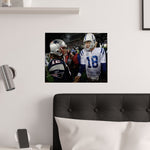 Brady and Manning Poster